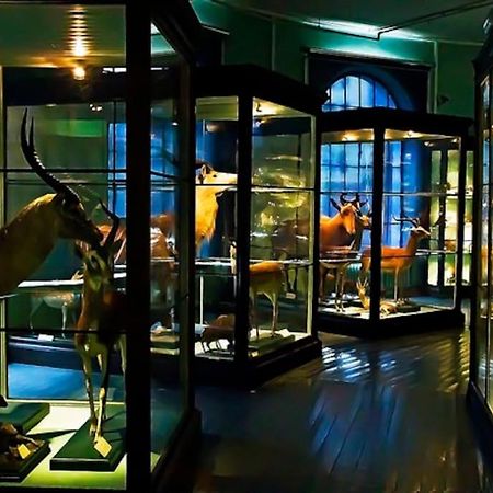 Spacious Historical Art Oasis In The City Center Bergen Exterior foto